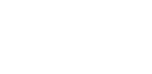 Lisi Development