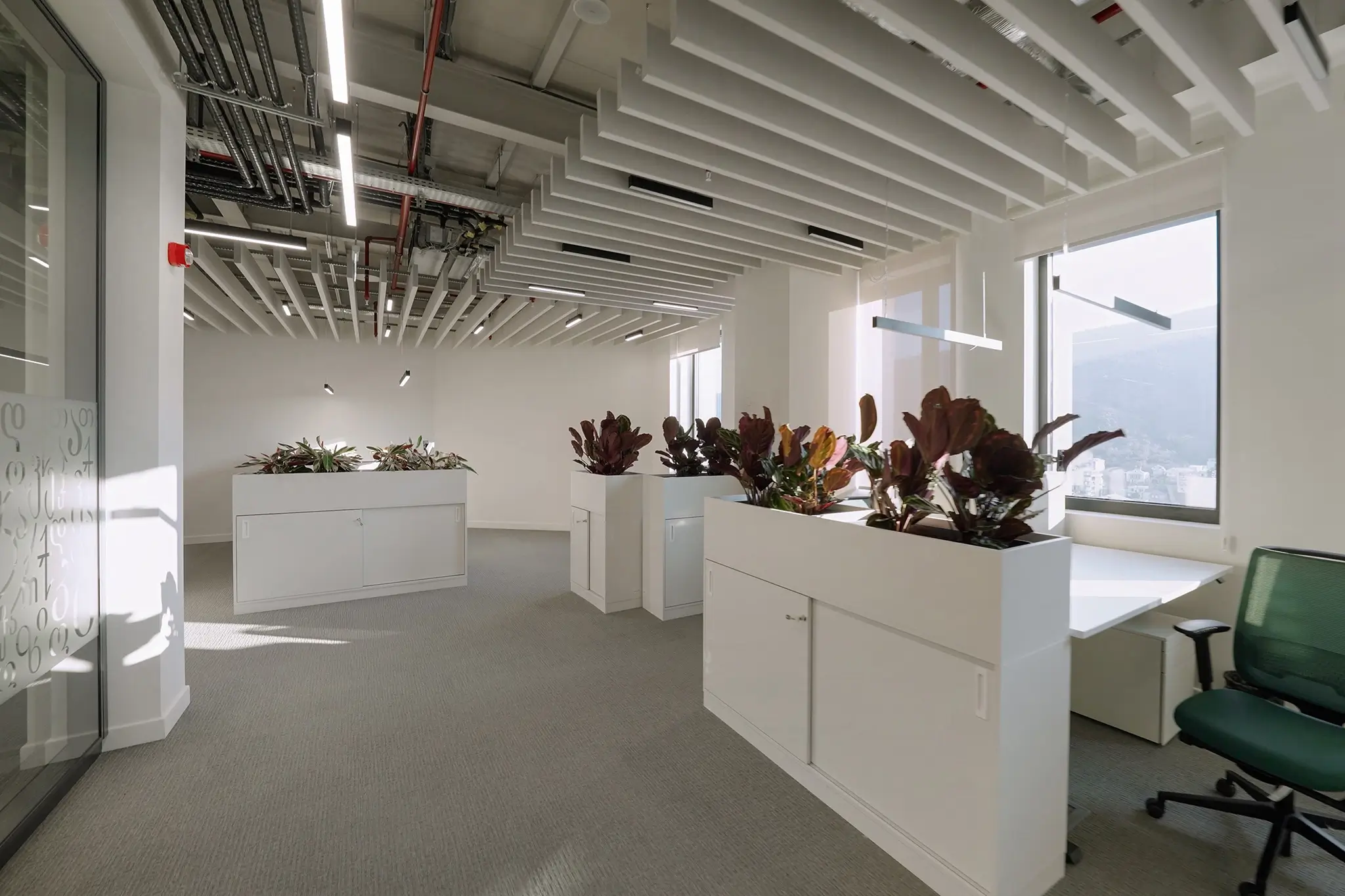 An International Financial Institution’s Office