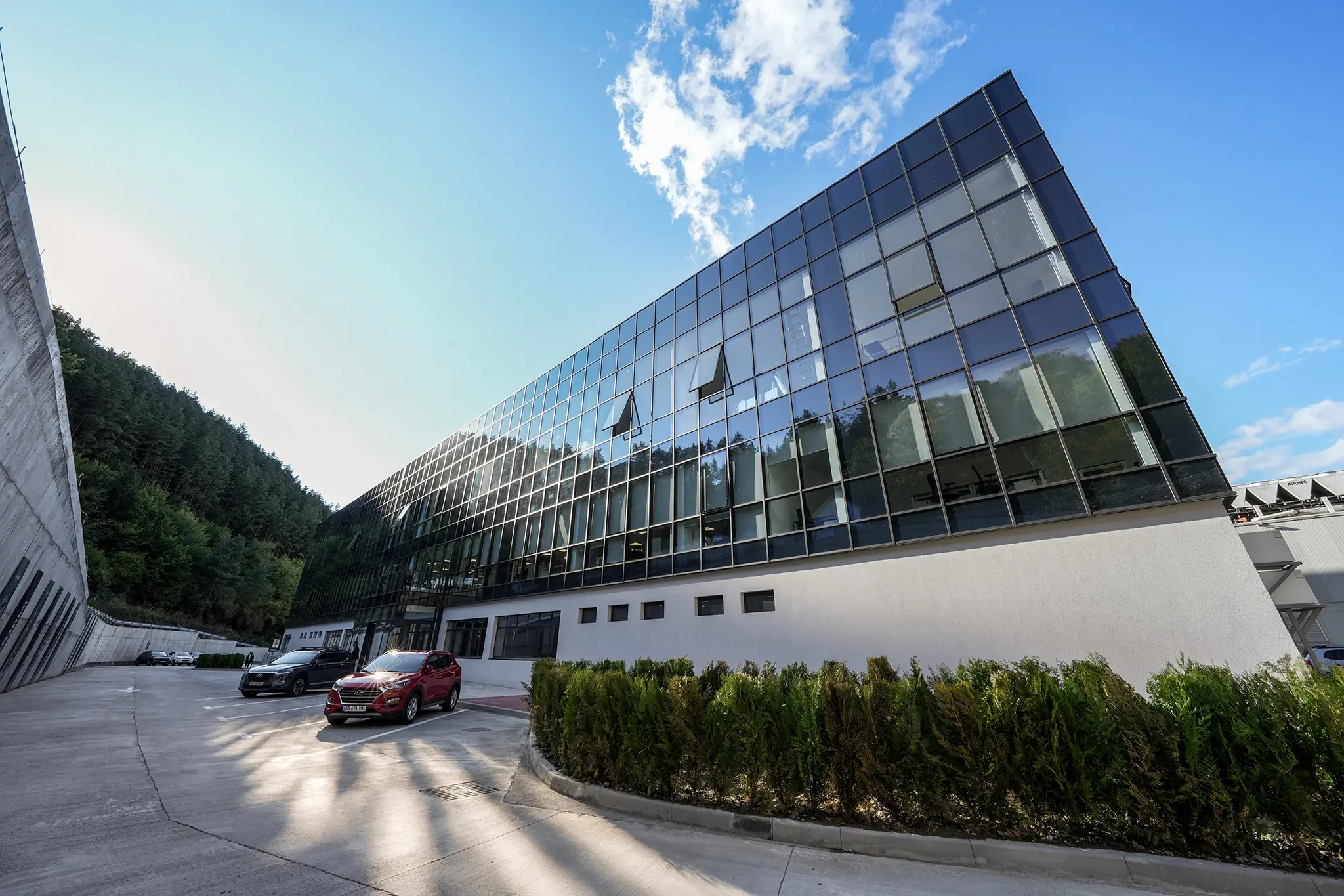 Borjomi Office