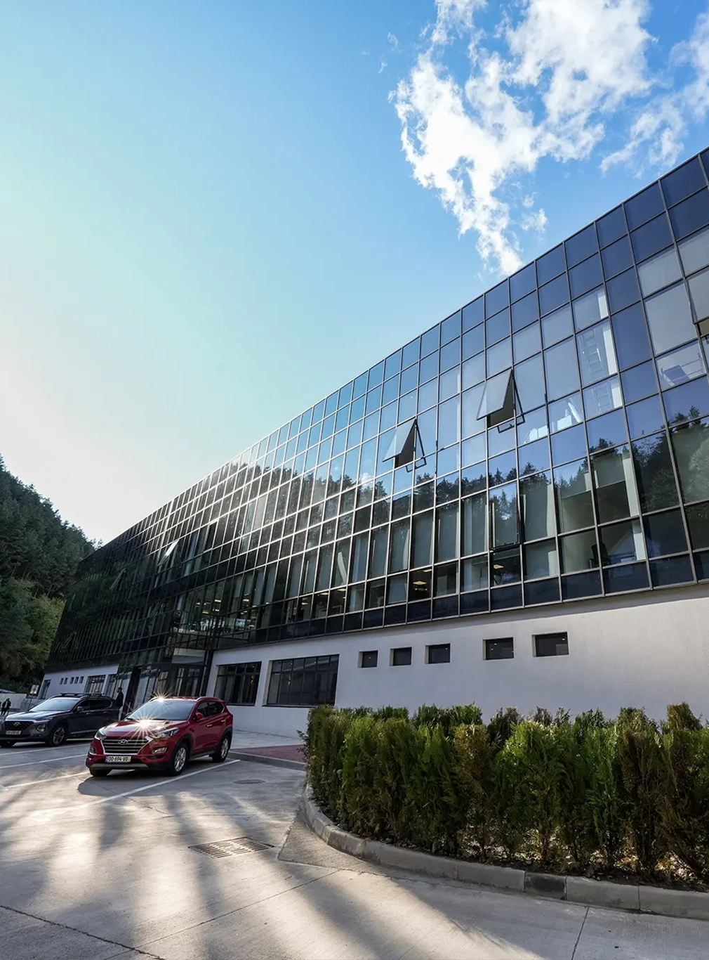 Borjomi Office